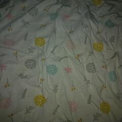 angelette キシリトールケープの画像