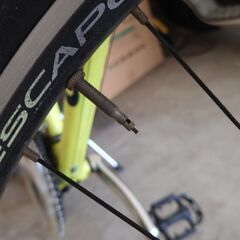 GIANT escape 3 イエロー エスケープスリー 黄色の画像