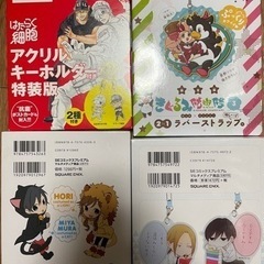 特装版　ラバスト　アクキー