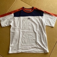 Ｔシャツの画像