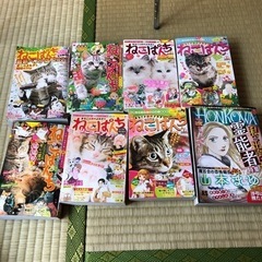 漫画　ねこぱんち　と　ほん怖
