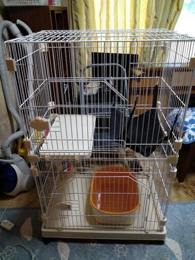 (決まってます)猫のゲージ 小さめ キャットゲージ コンパクト\n