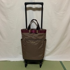 ショッピングカート　支えるバッグ　SWANY