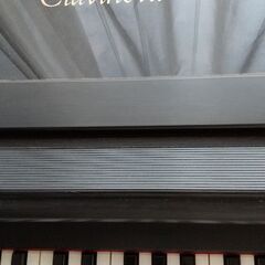 クラビノーバ