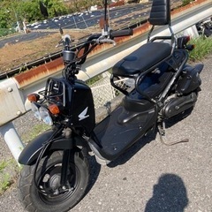 ズーマー 50FI 整備済の画像