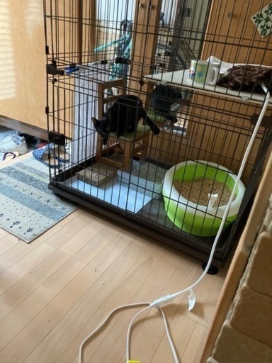 アイリスオーヤマ　キャットサークル2段