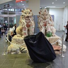 宮古島のおすすめ教えて下さい🙂