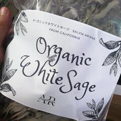 無農薬カリフォルニア産ホワイトセージ　