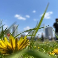 5/5（木）11〜13時 等々力渓谷ハイキング🏔