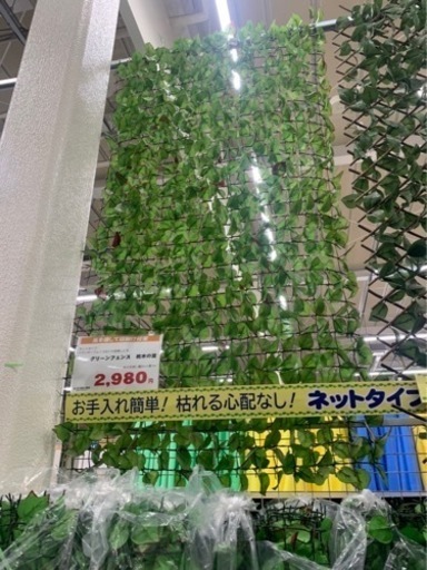 グリーンカーテン