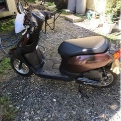 ホンダタクト　　50cc スクーターの画像