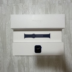 Apple Watch Series 6 (GPS + Cellular)