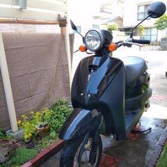 ホンダ トゥデイ ブラック 原付 廃車済