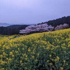 カラオケ行きましょう❗✌️😜 - 佐世保市
