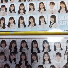 日向坂46　の画像