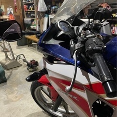 CBR250R MC41 モリワキマフラーの画像