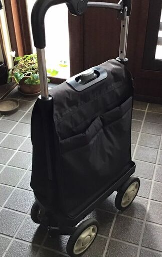 キャリーバッグ　スリム型