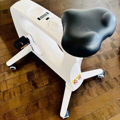 価格変更！！　Flexispot バイクチェア V9Uの画像