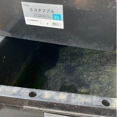 【メダカ飼育用品】まとめて差し上げます‼️の画像