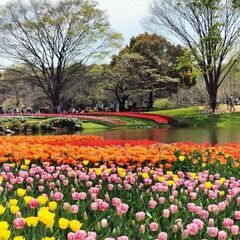 今日です。It's a perfect day to go on...