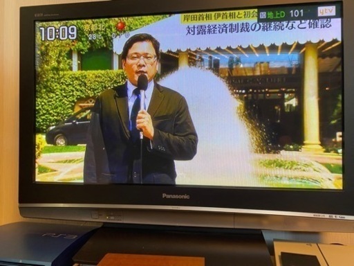パナソニック　ビエラ th37px88 テレビ