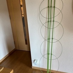 つる支柱　高さ150センチ 10〜13号鉢用　