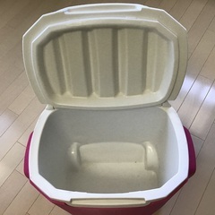 Colemanクーラーボックスの画像