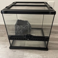 爬虫類ゲージ　パート3