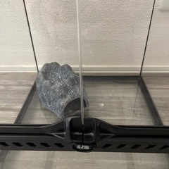 爬虫類ゲージ　パート2の画像