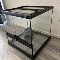 爬虫類ゲージ　パート2の画像