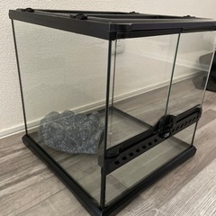 爬虫類ゲージ　パート2の画像