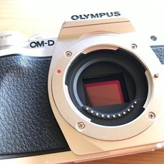 レアニューエラ ホワイトソックス USA 黒 キャップ 56.8cm保証＆純正充電池2個付　OM-D E-M10 Mark3 EZWズームキット