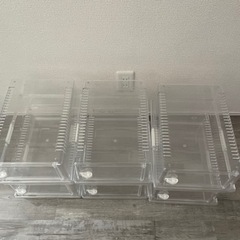 爬虫類プラケース　値段下げましたの画像