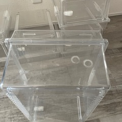 爬虫類プラケース　値段下げましたの画像