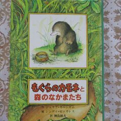絵本4冊　童話館出版