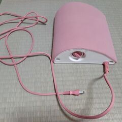 電気あんか