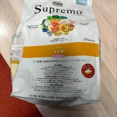 子犬用、ニュートロご飯です