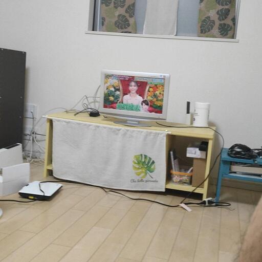 DVD内蔵型テレビ BLD19V-TW3