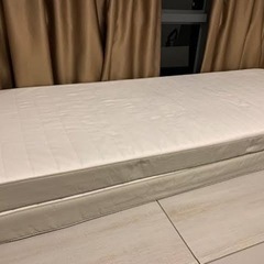 早い者勝ち　新品　マット2枚