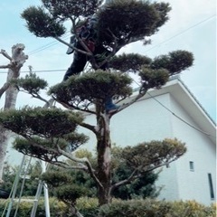 草刈り、伐採、剪定、植木