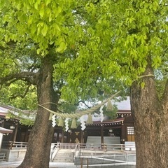 ★ウォーキング仲間募集★ − 東京都