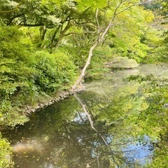 ★ウォーキング仲間募集★ - スポーツ