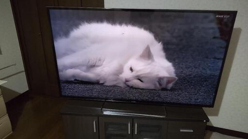 パナソニック4K対応3D液晶TV TH-58AX800F