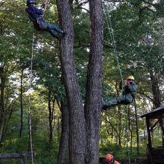 【造園業】未経験者歓迎・経験者優遇。日給10000～18000 週払い検討します。の画像