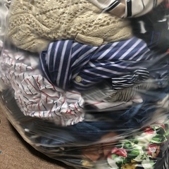 3、4Lサイズレディース服の画像