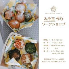 だしソムリエのみそ玉作り ワークショップ