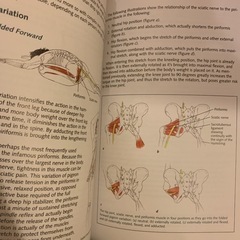 YOGA Anatomy  英語バージョンの画像
