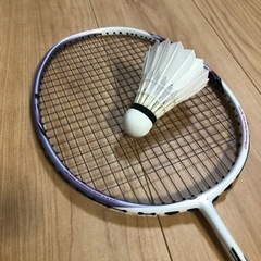 志布志でバドミントン