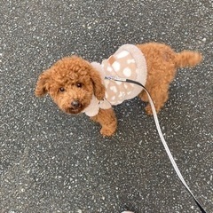 ありがとうございました
