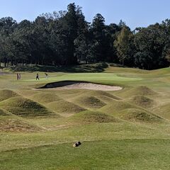 毎週月・水曜日GOLF　無料レッスンあり